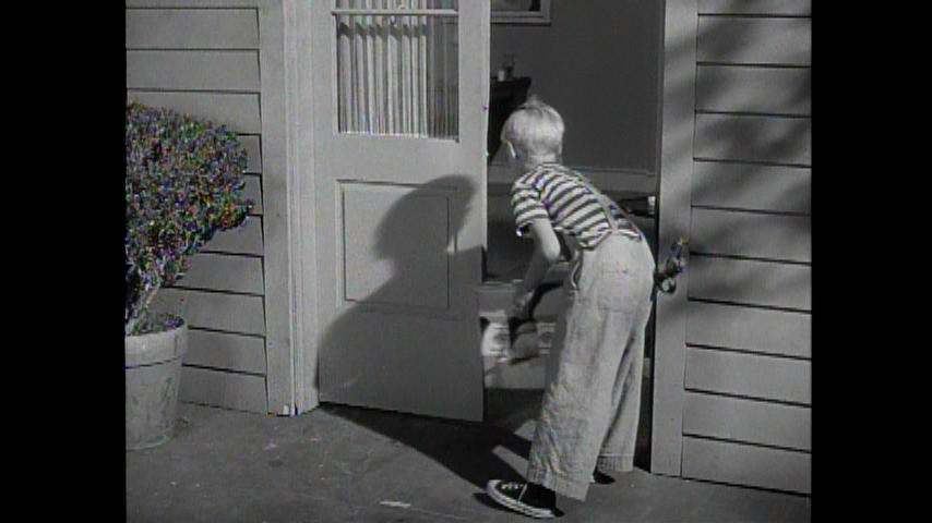 Dennis The Menace: S1 E18 - Dennis And The Duck