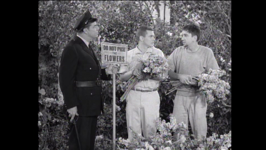 The Many Loves Of Dobie Gillis: S1 E36 - The Long Arm Of The Law